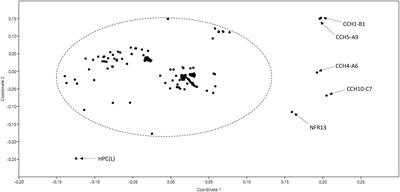 A Genomotaxonomy View of the Bradyrhizobium Genus